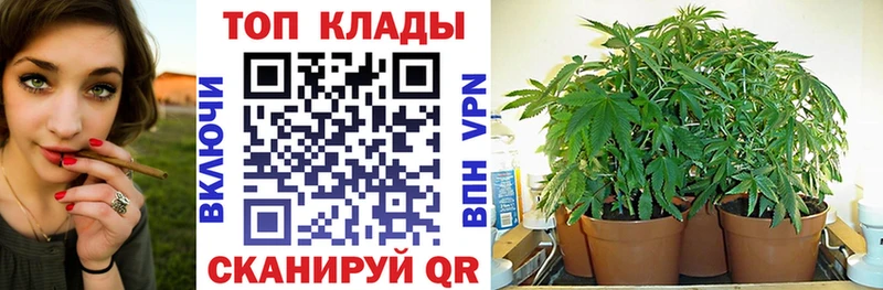 Где продают наркотики Власиха МЕТАМФЕТАМИН Cocaine СК Меф ГАШ Марихуана