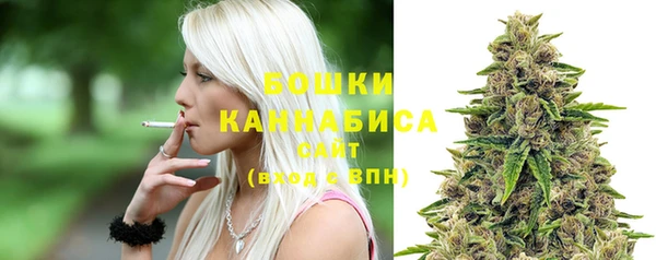 твердый Тавда
