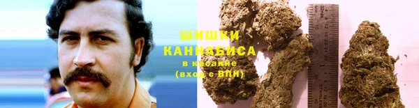 твердый Тавда