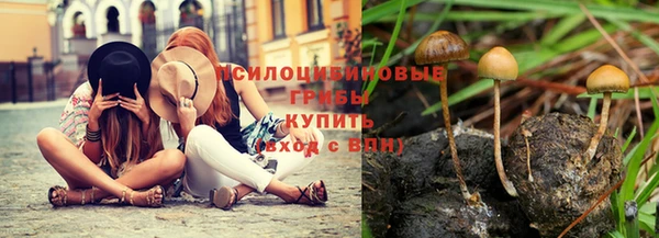 jwh Тайга