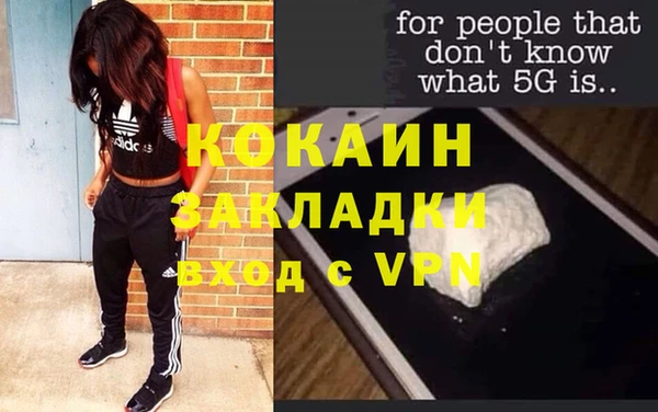 твердый Тавда
