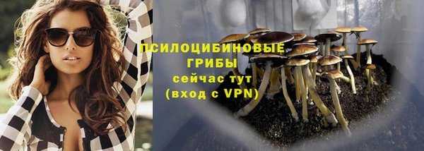 2c-b Ивангород