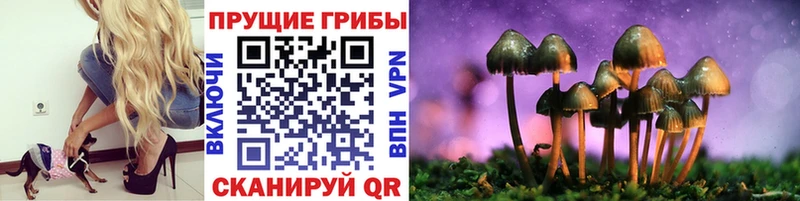 Галлюциногенные грибы Magic Shrooms  как найти закладки  Власиха 